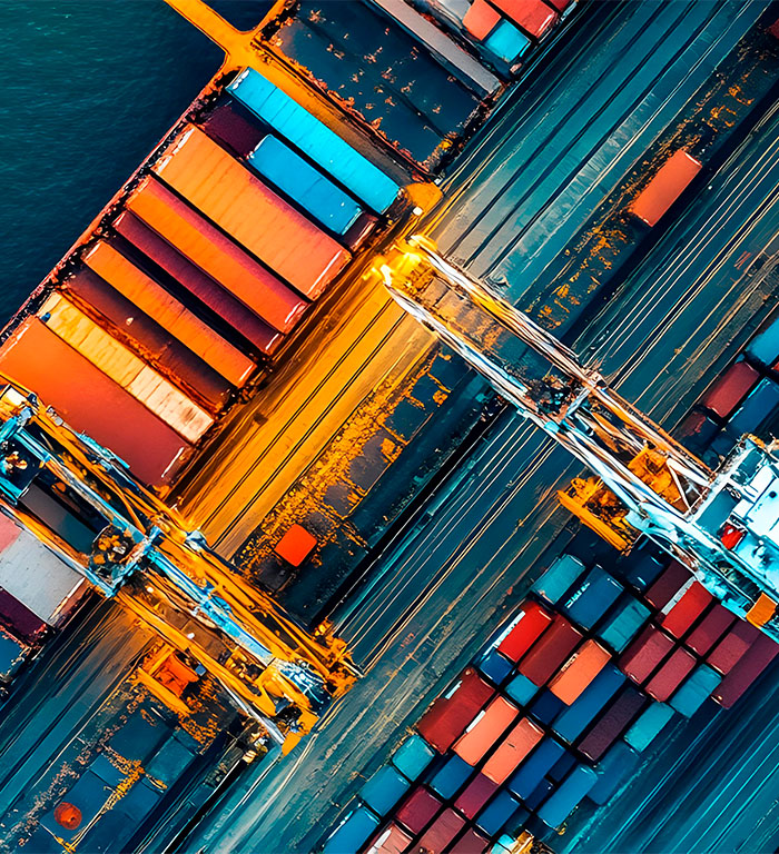 exportacao