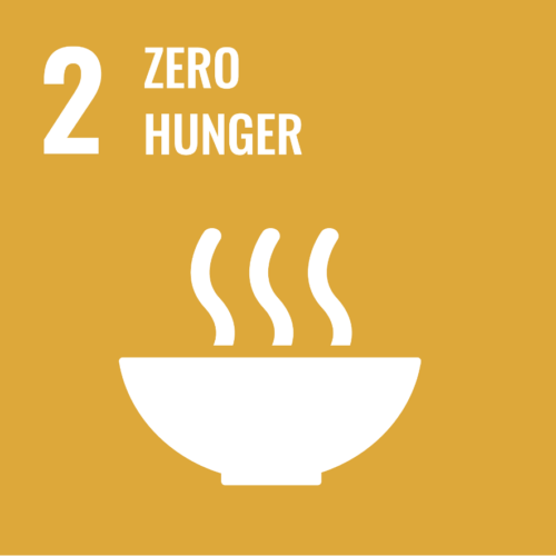 zerojunger-500x500